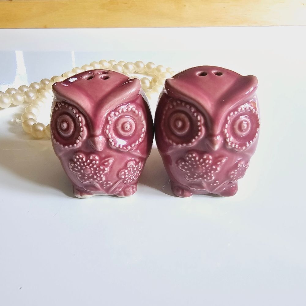 CottageCore Ceramic Owl Salt and Pepper Shaker Set Boho Mini Animals